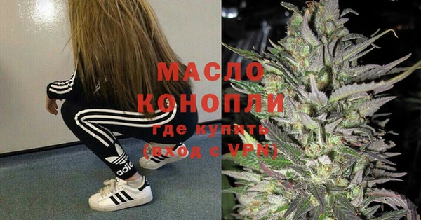 дживик Абинск
