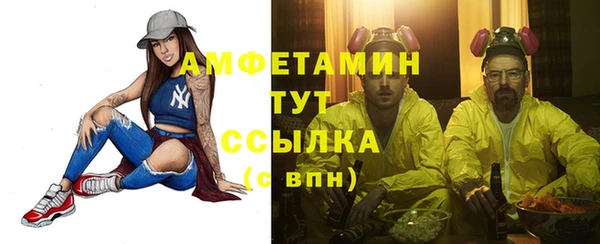 спиды Абаза