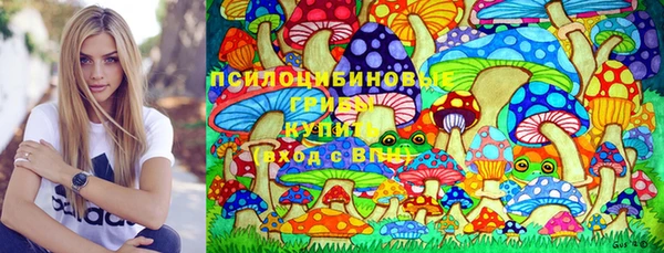 спиды Абаза