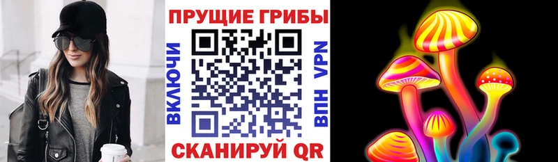 наркотики Щучье Псилоцибиновые грибы Psilocybine cubensis